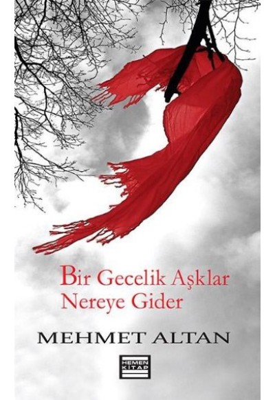 Bir Gecelik Aşklar Nereye Gider