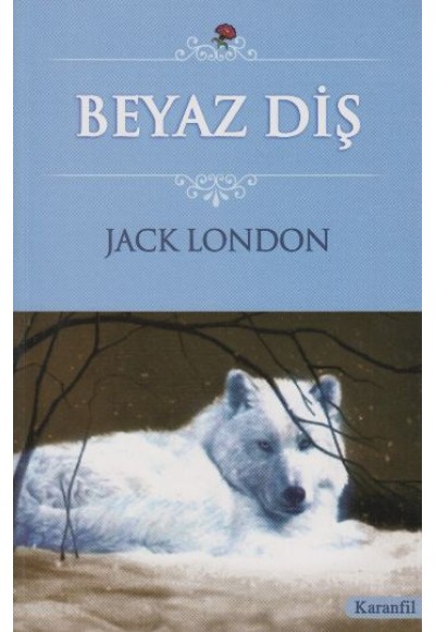 Beyaz Diş