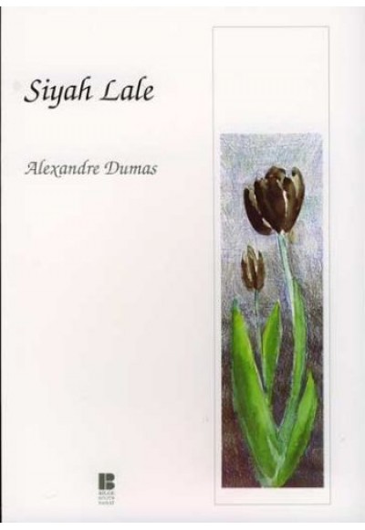 Siyah Lale