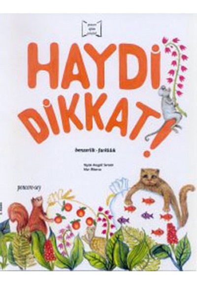 Haydi Dikkat Benzerlik - Farklılık