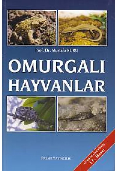 Omurgalı Hayvanlar