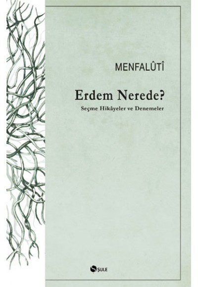 Erdem Nerede? Seçme Hikayeler ve Denemeler