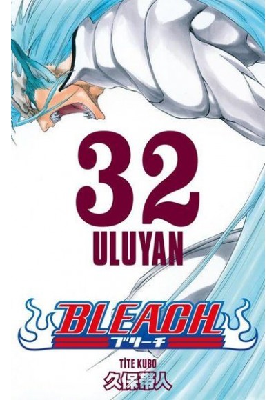 Bleach 32.Cilt