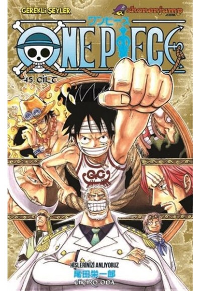 One Piece 45