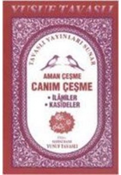 Canım Çeşme İlahi Mevlid-i Şerif (C14) - İlahiler, Kasideler