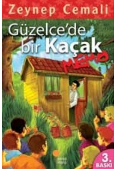 Güzelcede Bir Kaçak, Memo