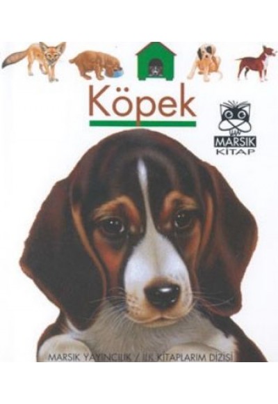 Köpek