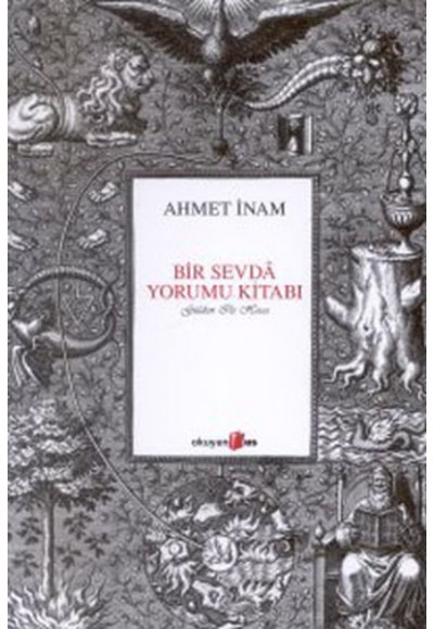 Bir Sevda Yorumu Kitabı