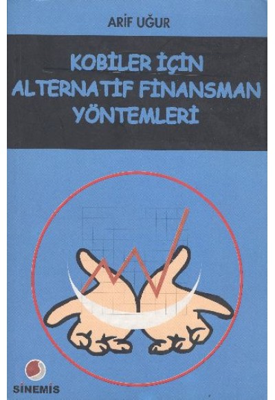 Kobiler İçin Alternatif Finansman Yöntemleri