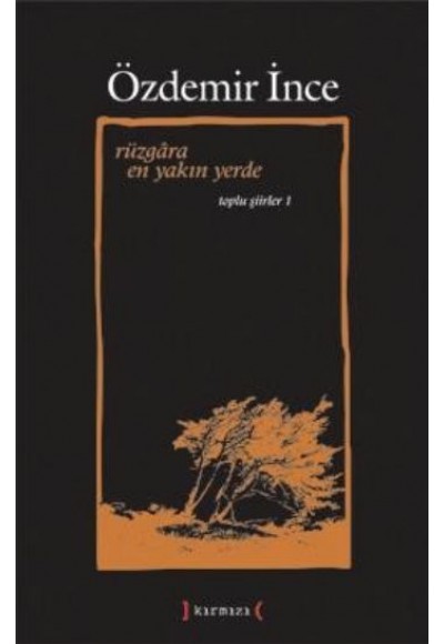 Rüzgara En Yakın Yerde / Toplu Şiirler I