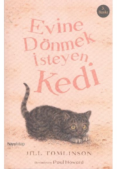 Evine Dönmek İsteyen Kedi