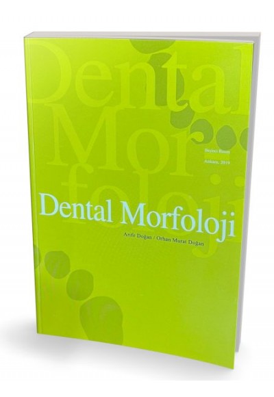 Dental Morfoloji