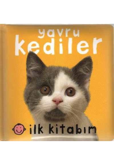İlk Kitabım - Yavru Kediler