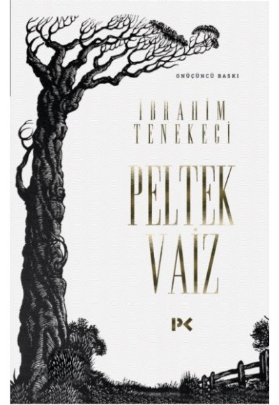 Peltek Vaiz