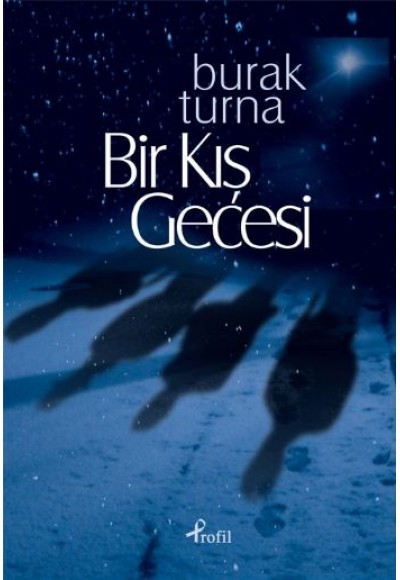 Bir Kış Gecesi