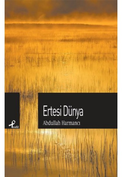 Ertesi Dünya