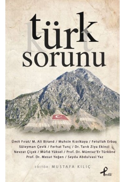 Türk Sorunu