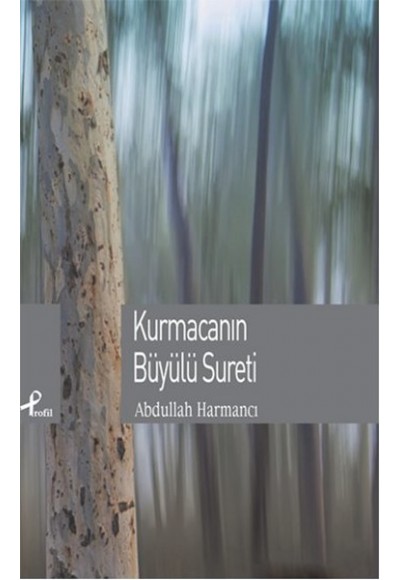 Kurmacanın Büyülü Sureti