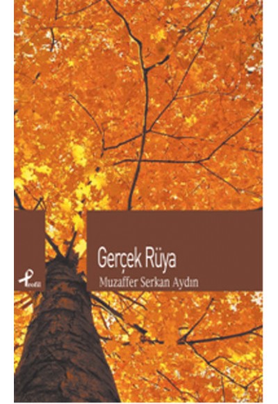 Gerçek Rüya
