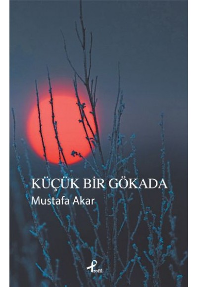 Küçük Bir Gökada