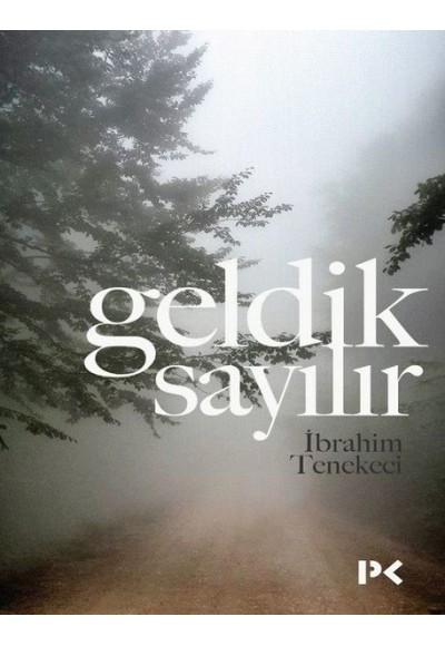 Geldik Sayılır