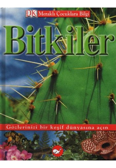 Bitkiler