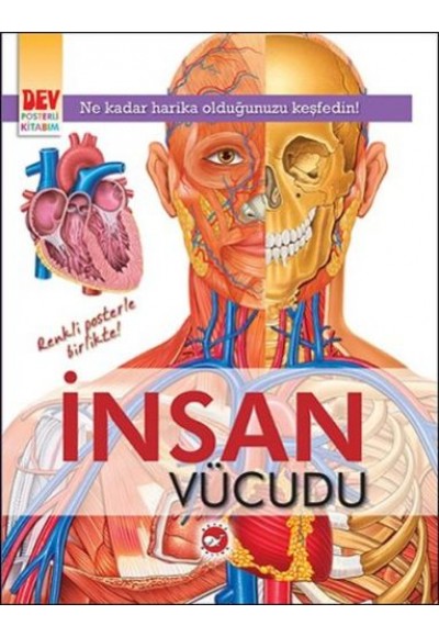 Dev Posterli Kitabım - İnsan Vücudu