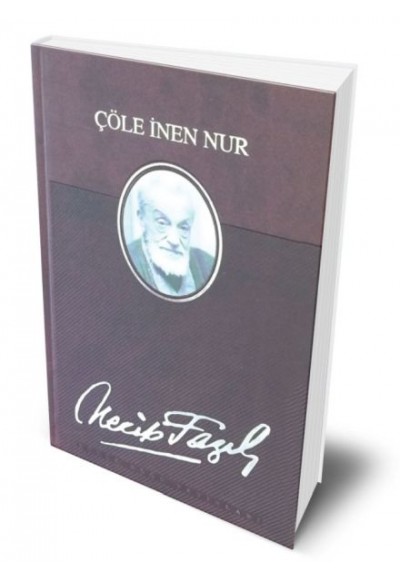 Çöle İnen Nur (Deri Ciltli)