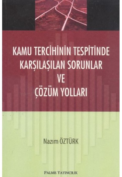 Kamu Tercihinin Tespitinde Karşılaşılan Sorunlar ve Çözüm Yolları