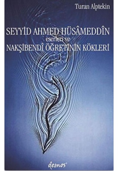 Seyyid Ahmed Hüsameddin Eserleri ve Nakşibendi Öğretinin Kökleri