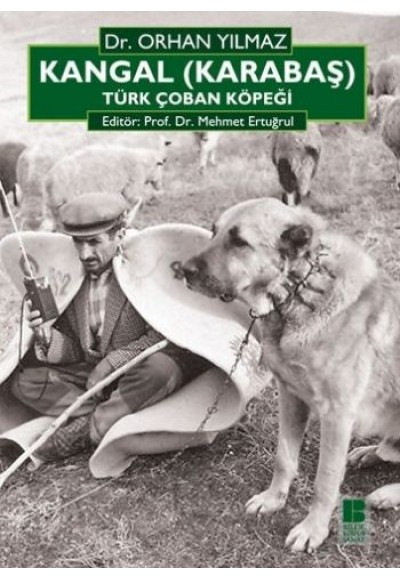 Kangal (Karabaş) Türk Çoban Köpeği