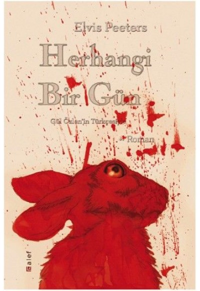 Herhangi Bir Gün