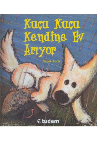 Kuçu Kuçu Kendine Bir Ev Arıyor
