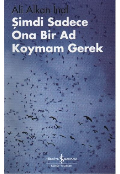 Şimdi Sadece Ona Bir Ad Koymam Gerek