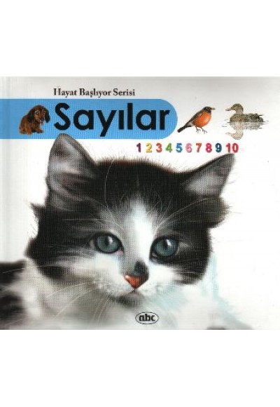 Sayılar (Kitap + İnteraktif CDRom) (Ciltli)