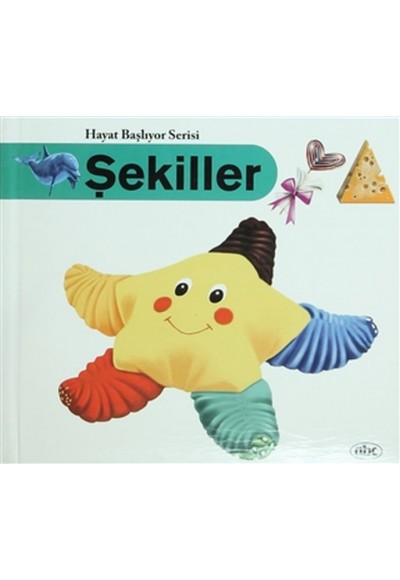 Şekiller - Hayat Başlıyor Serisi 3