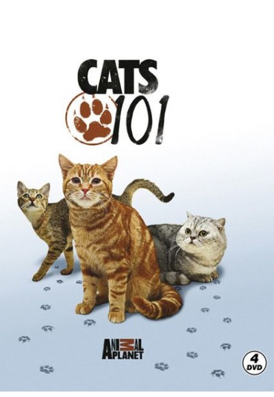 Cats 101 - Kediler