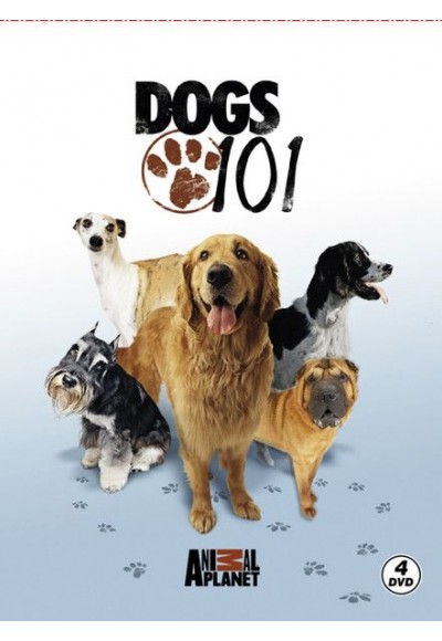 Dogs 101 - Köpekler